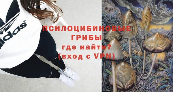СК Надым