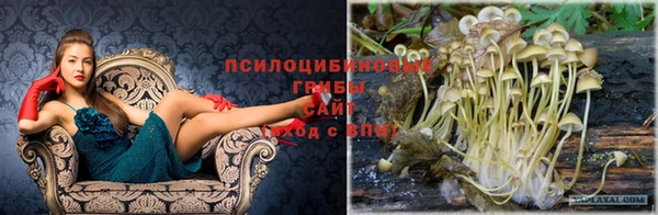 круглые Арсеньев