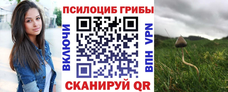 Галлюциногенные грибы MAGIC MUSHROOMS  как найти закладки  Ахтубинск 